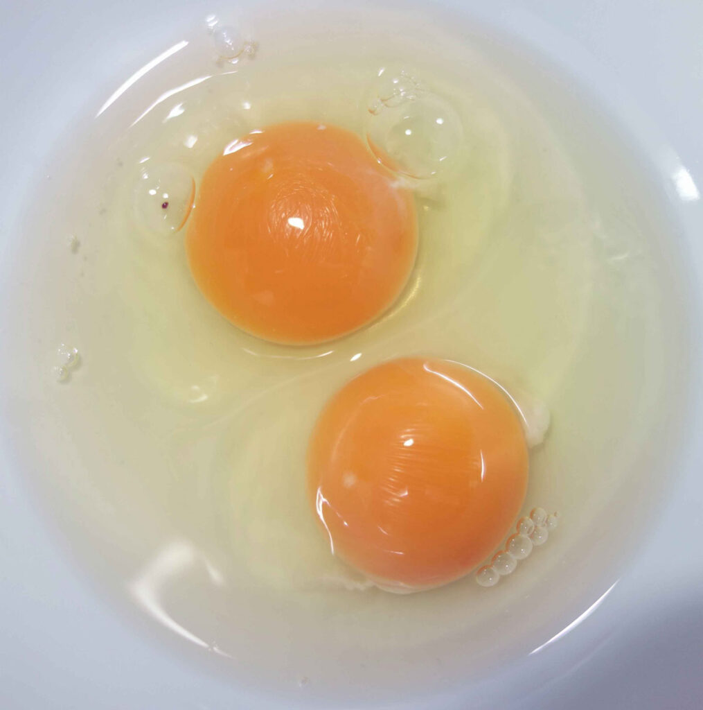 二つの黄身が入った卵