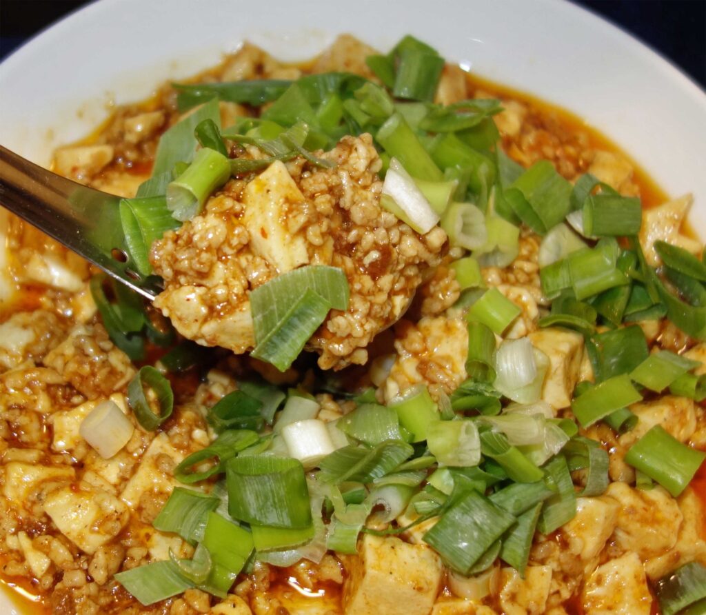 麻婆豆腐とネギ