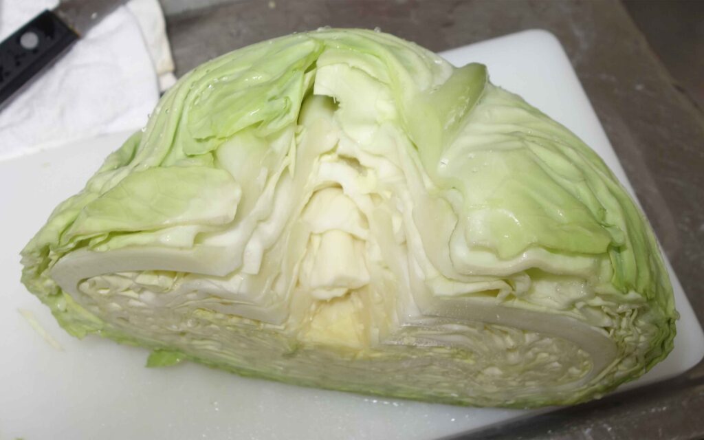 半分に切ったキャベツ
