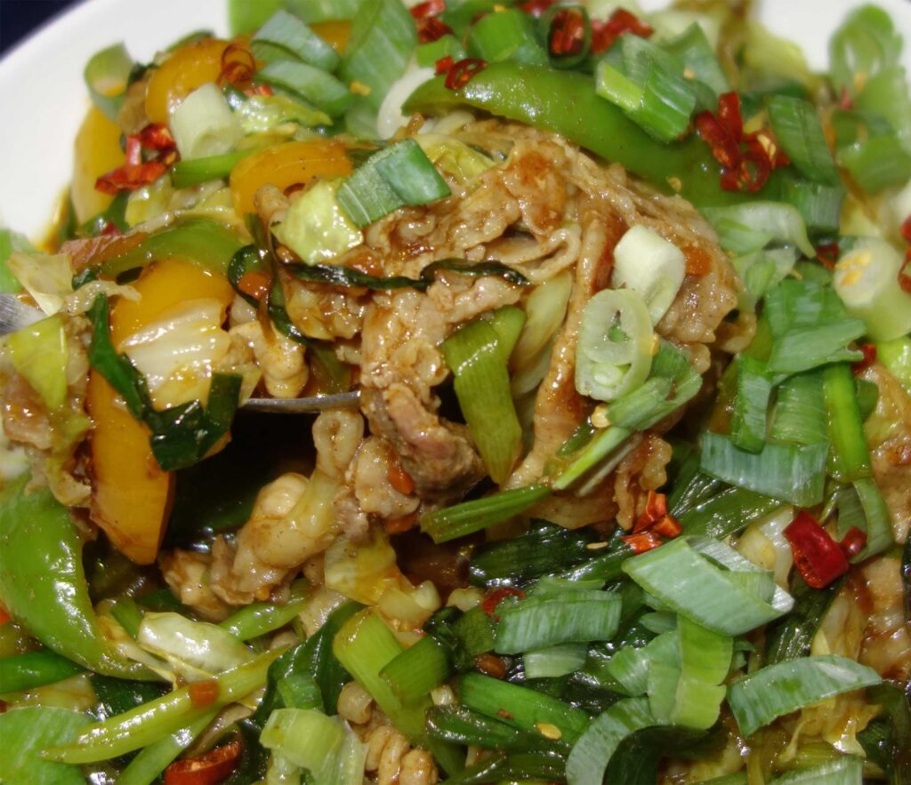 豚肉とピーマンの炒め物