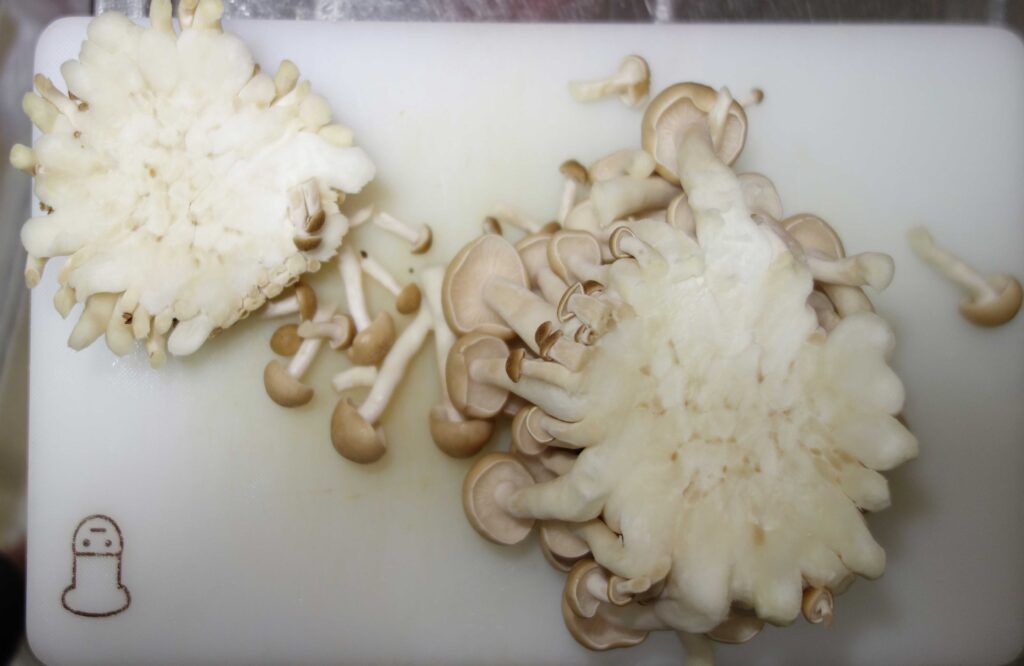 白いまな板の上のブナシメジ