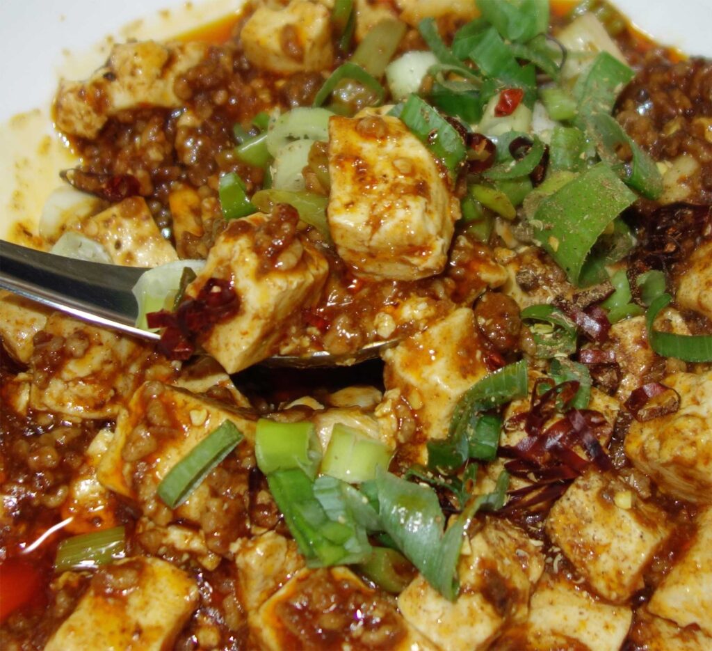 麻婆豆腐とネギ