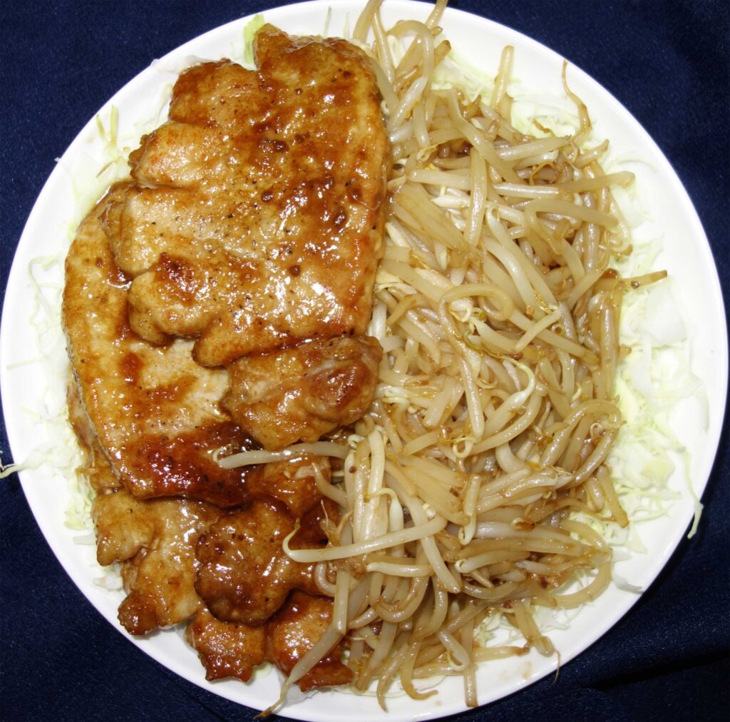 豚のしょうが焼きともやし炒めの定食