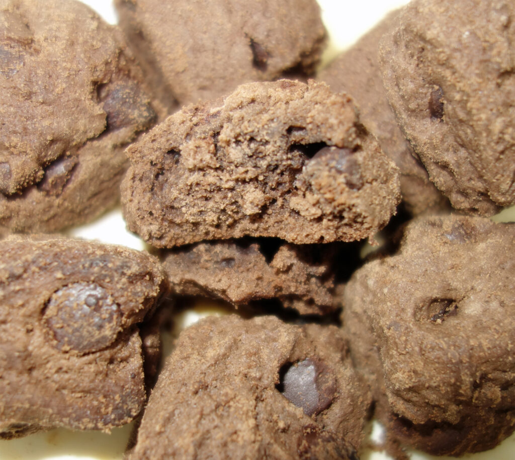 チョコレートブラウニーのクローズアップ写真