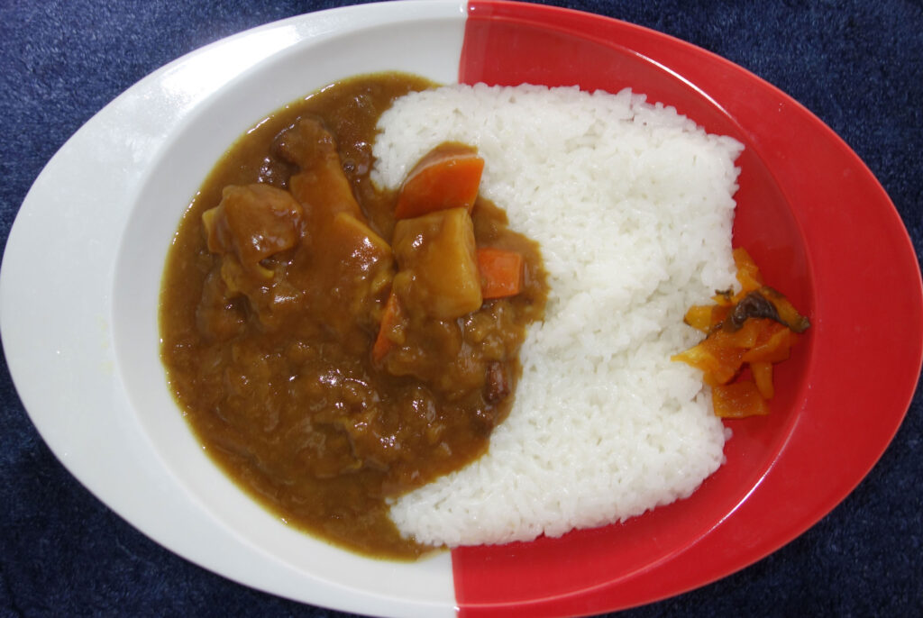 鶏肉と野菜が入ったカレーライス